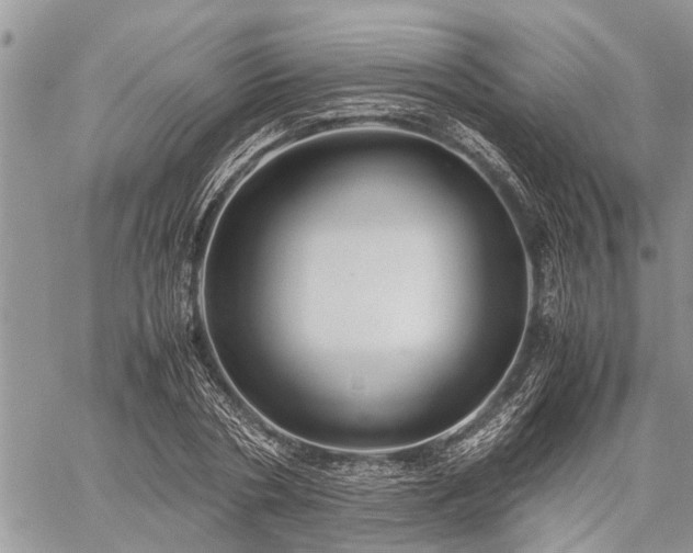 X0000059800786200510211050