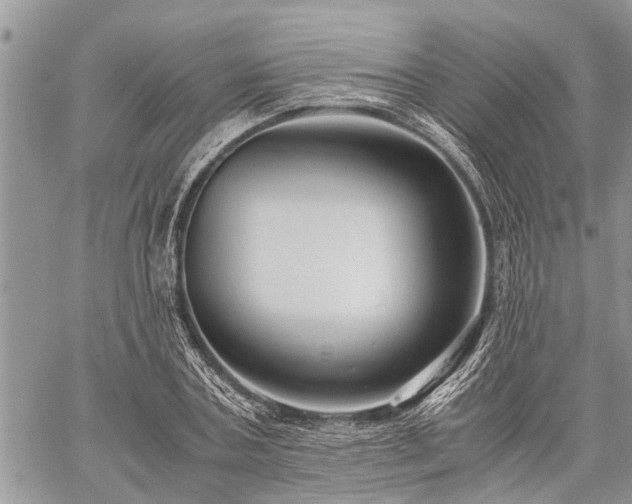 X0000059800787200510211050