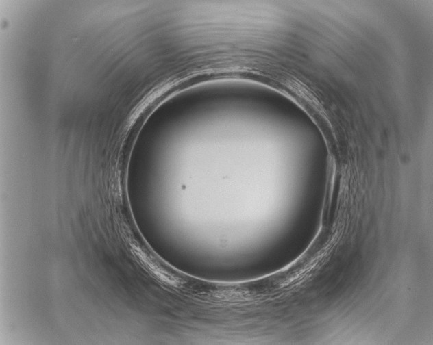 X0000059800789200510211050