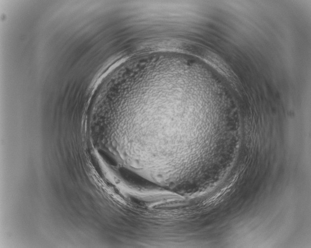 X0000059800790200510211050