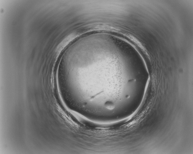 X0000059800791200510211050