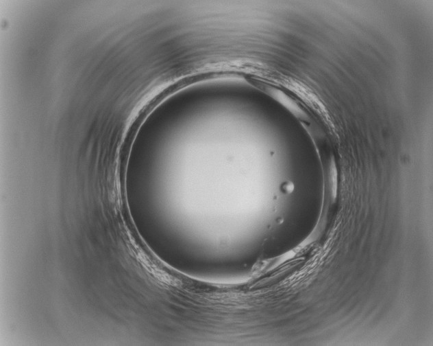 X0000059800792200510211050