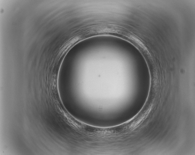 X0000059800793200510211050