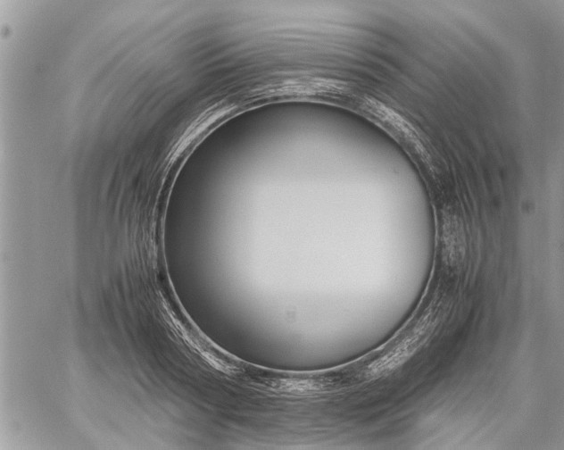 X0000059800794200510211050