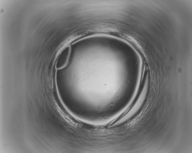 X0000059800795200510211050