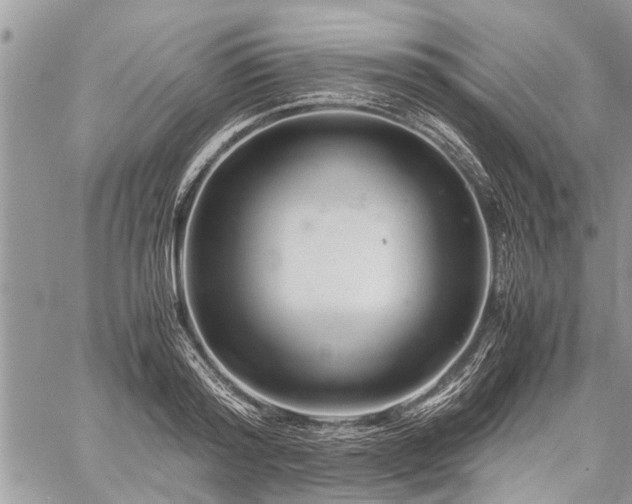 X0000059800796200510211050