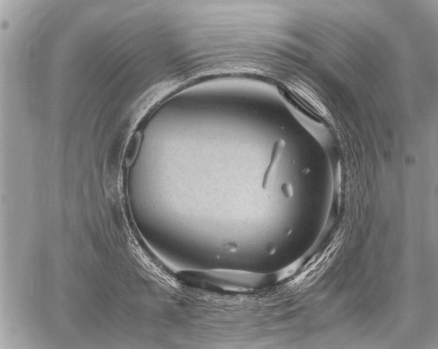 X0000059800797200510211050