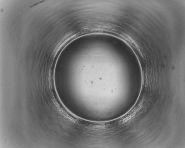 X0000059800798200510211050