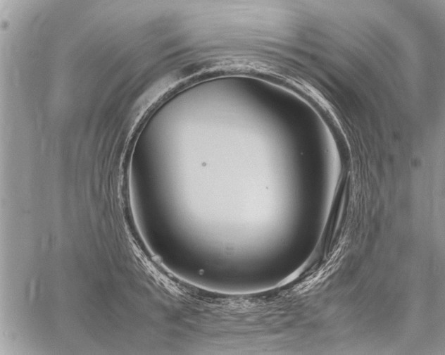 X0000059800799200510211050