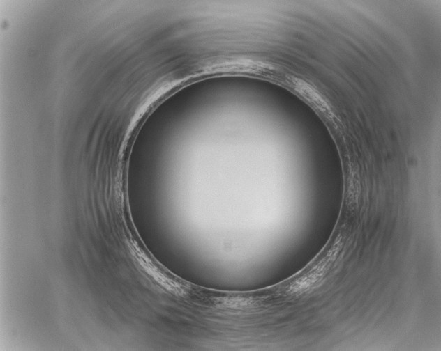 X0000059800800200510211050