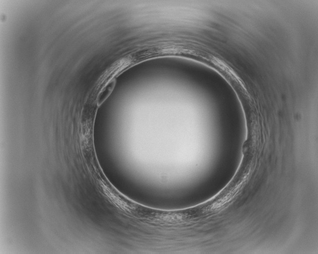 X0000059800801200510211050