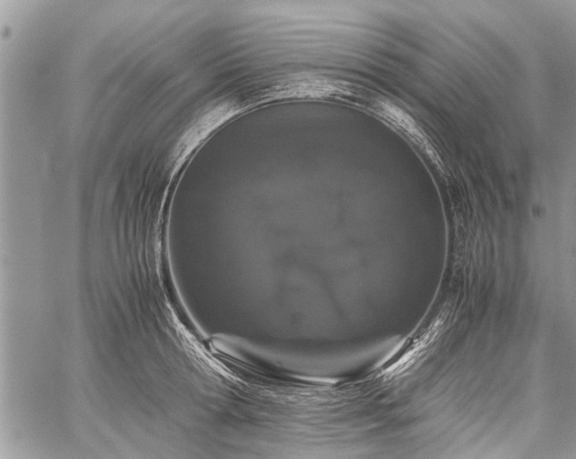 X0000059800802200510211050