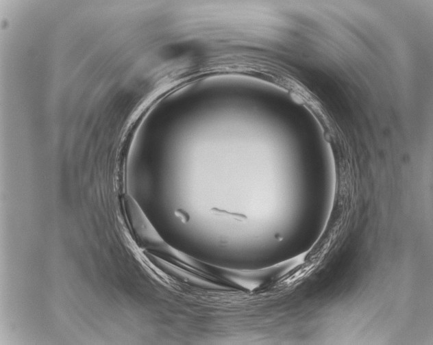 X0000059800803200510211050