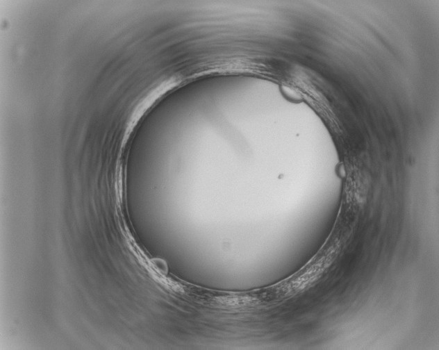 X0000059800804200510211050