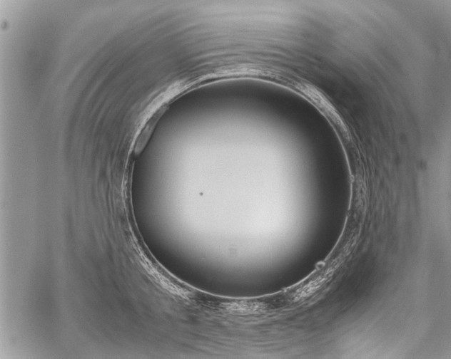 X0000059800805200510211050