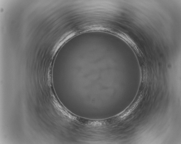 X0000059800806200510211050