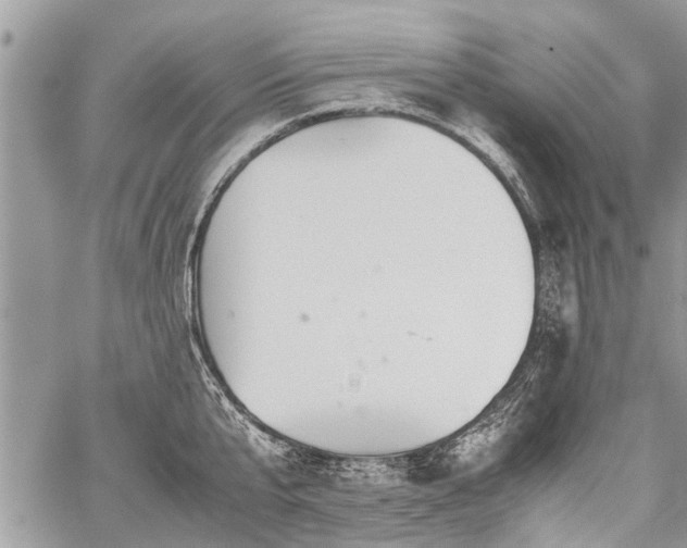 X0000059800807200510211050