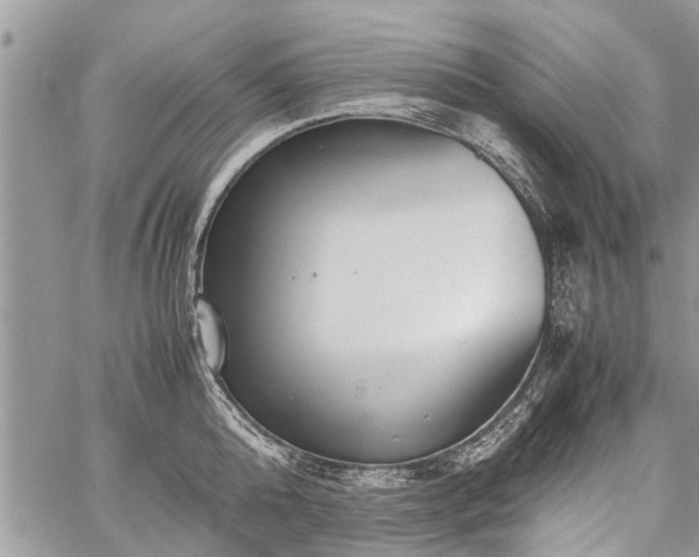 X0000059800808200510211050