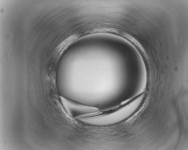 X0000059800809200510211050