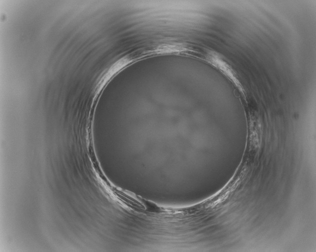 X0000059800810200510211050