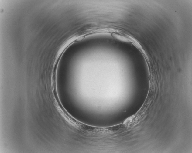 X0000059800811200510211050