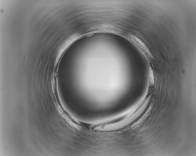 X0000059800812200510211050