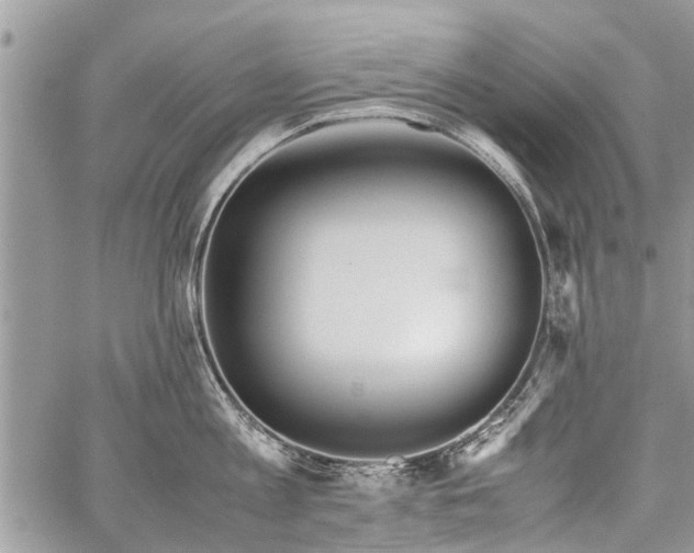 X0000059800813200510211050