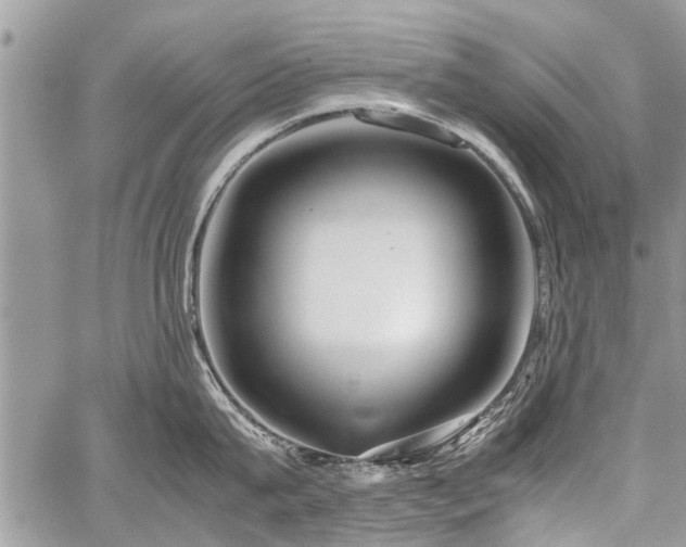 X0000059800815200510211050