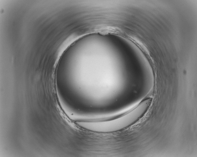 X0000059800816200510211050