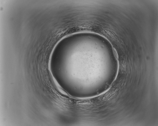 X0000059800817200510211049