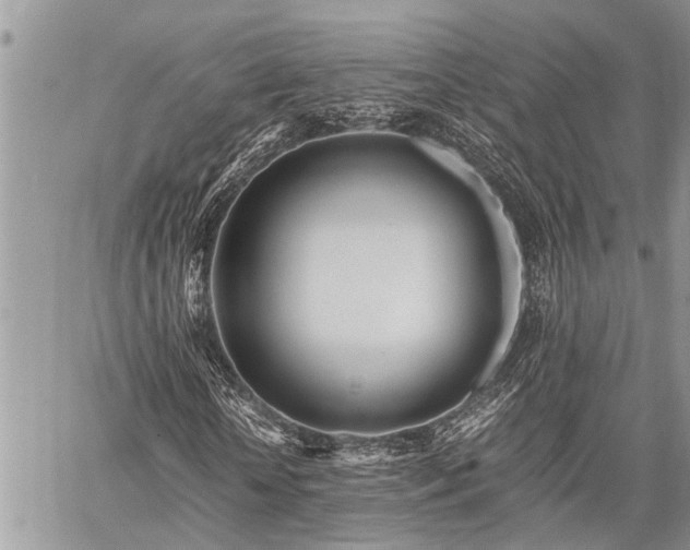 X0000059800818200510211049