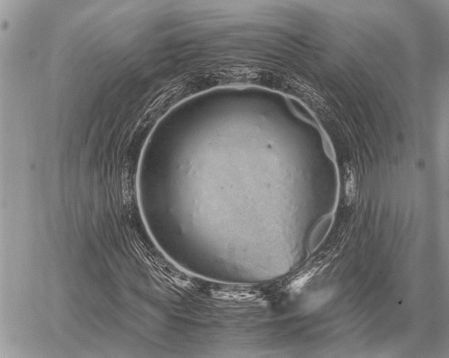 X0000059800819200510211049