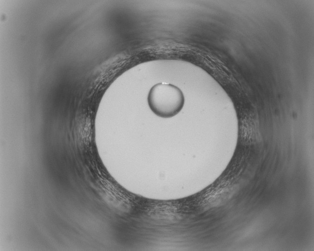 X0000059800820200510211049