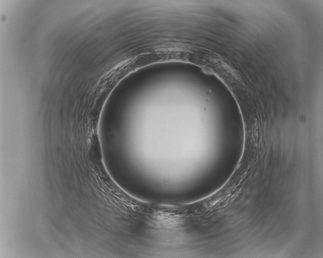 X0000059800821200510211049