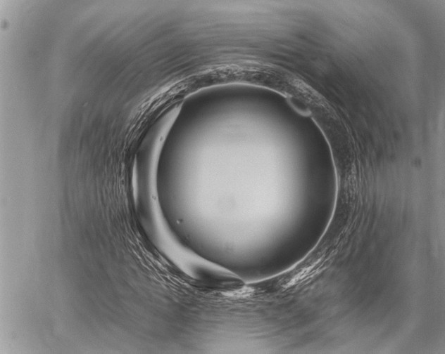 X0000059800822200510211049