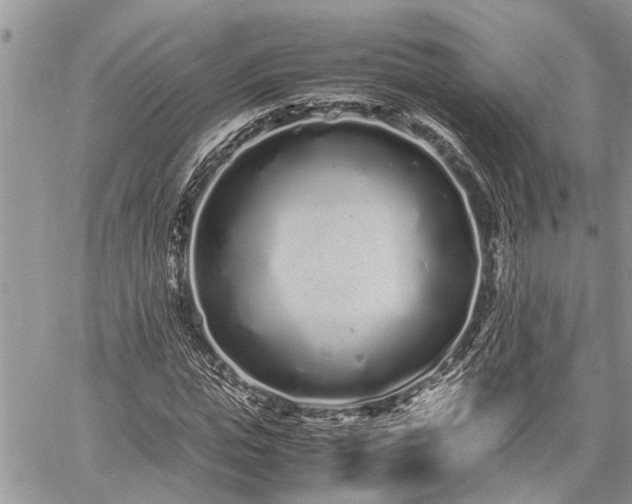 X0000059800823200510211049