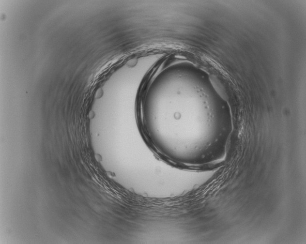 X0000059800824200510211049