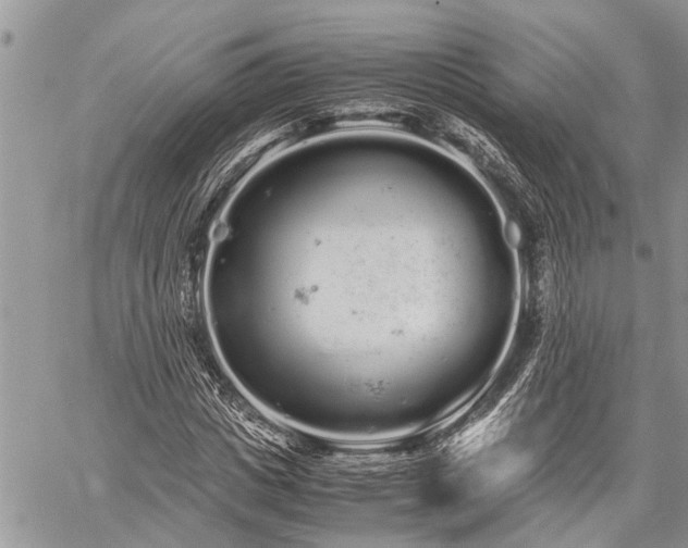 X0000059800825200510211049