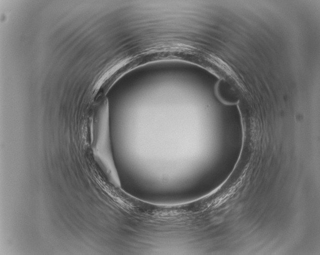 X0000059800826200510211049