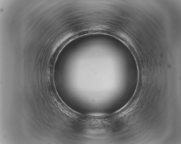 X0000059800827200510211049