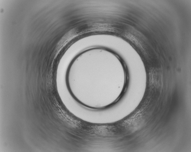 X0000059800828200510211049