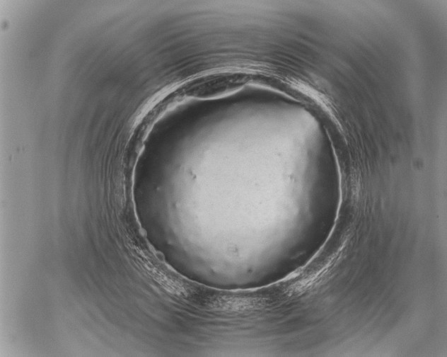 X0000059800829200510211049