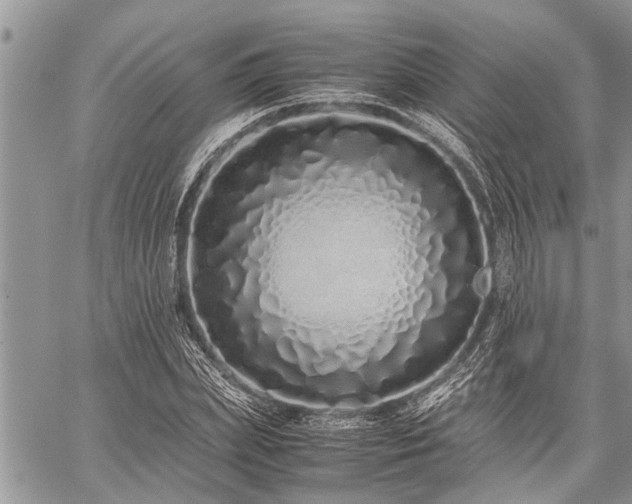 X0000059800831200510211049