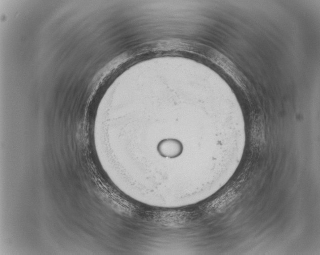 X0000059800832200510211049