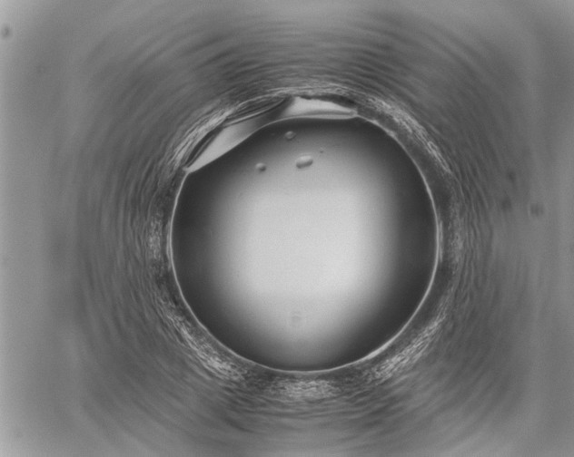 X0000059800833200510211049