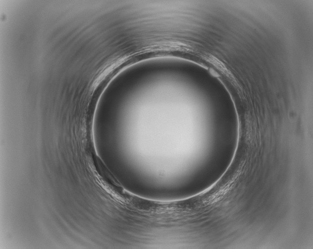 X0000059800834200510211049