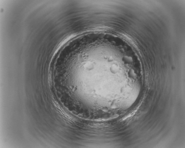 X0000059800835200510211049