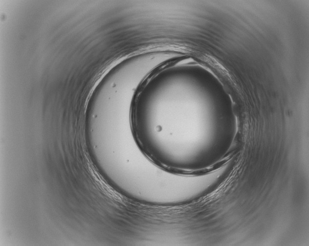 X0000059800836200510211049