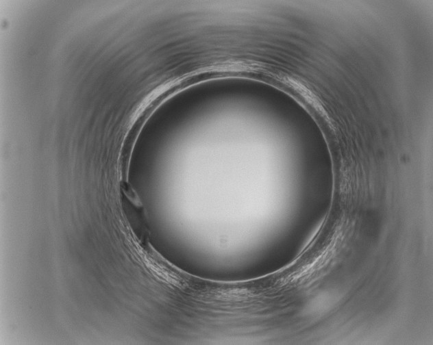 X0000059800837200510211049