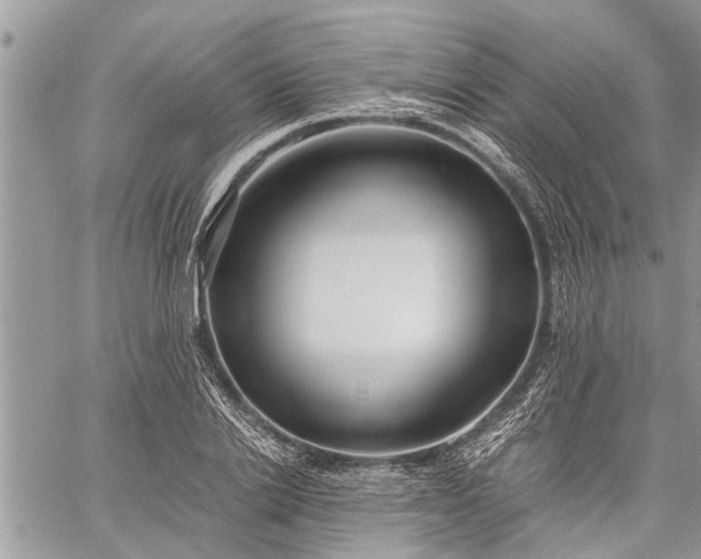 X0000059800838200510211049